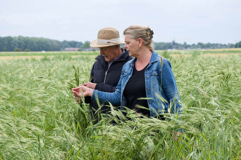 Over de boeren