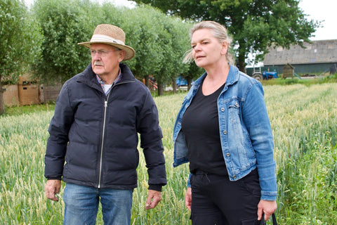Landgoud - Ale Havenga