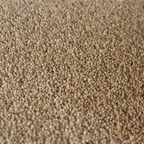 Quinoa - biologisch
